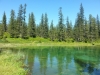 20150805_152315